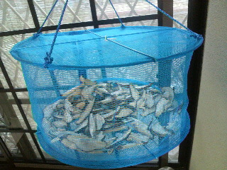2011042618370000.jpg