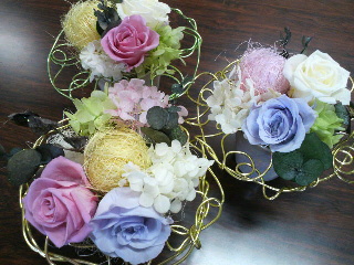 2011110511080000.jpg